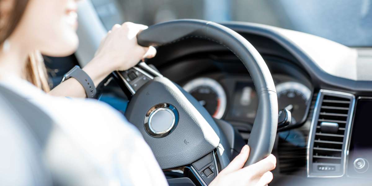 Guide To Online Uk Driving Licence: The Intermediate Guide The Steps To Online Uk Driving Licence