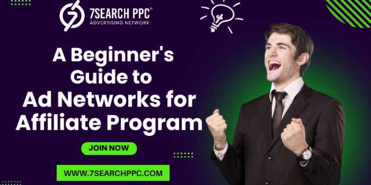 A Beginner's Guide to Ad Networks for Affiliate Programs: Maximize Your Revenue Potential