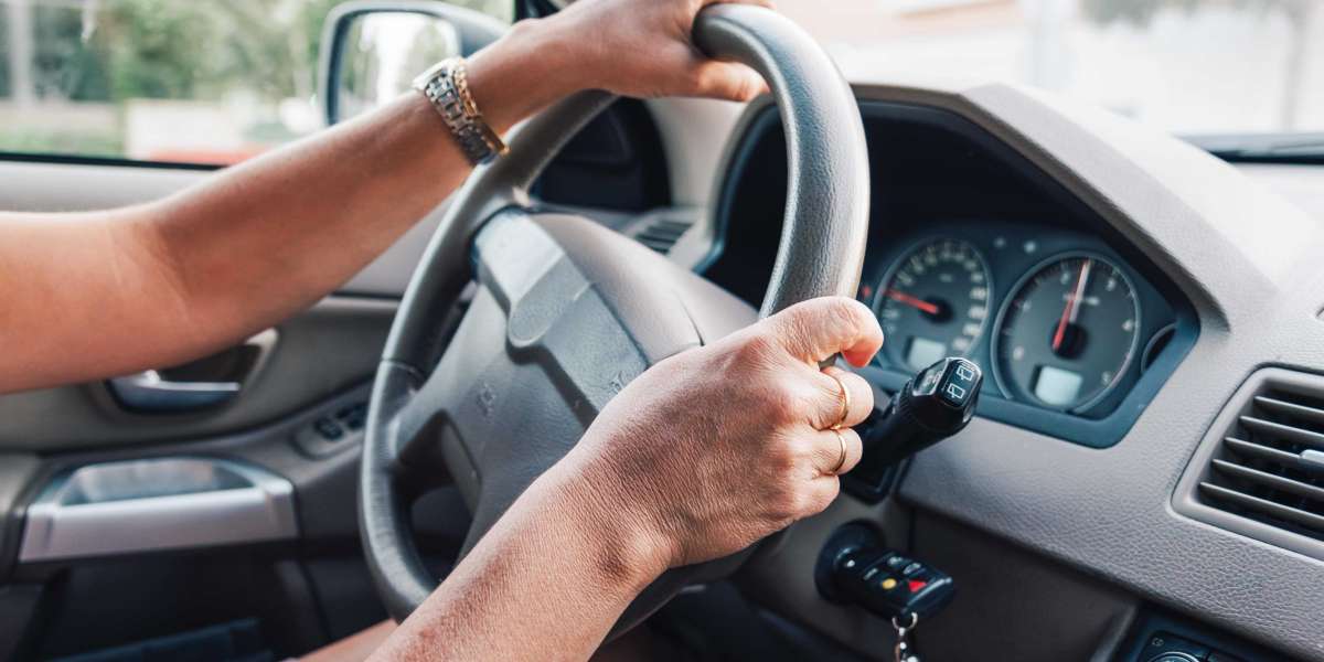 20 Trailblazers Leading The Way In Driving License Online